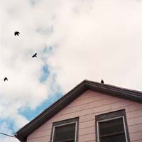 gal/Untitled (Project)/_thb_015.jpg